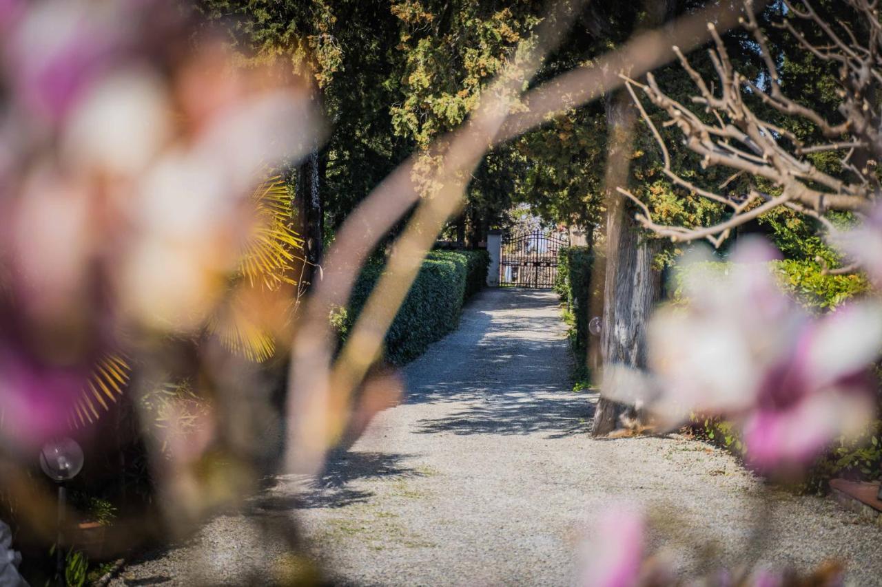 La Magnolia Bed & Breakfast Greve in Chianti Eksteriør bilde