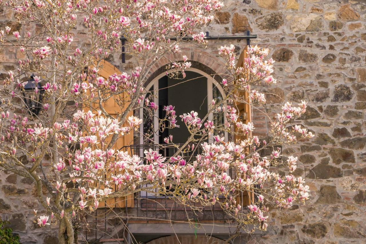 La Magnolia Bed & Breakfast Greve in Chianti Eksteriør bilde